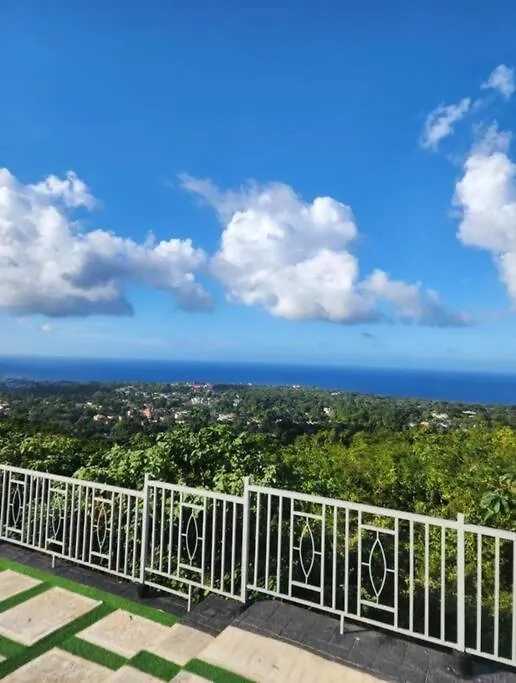 Villa La Rosa With Spectacular View Of Ocho Rios